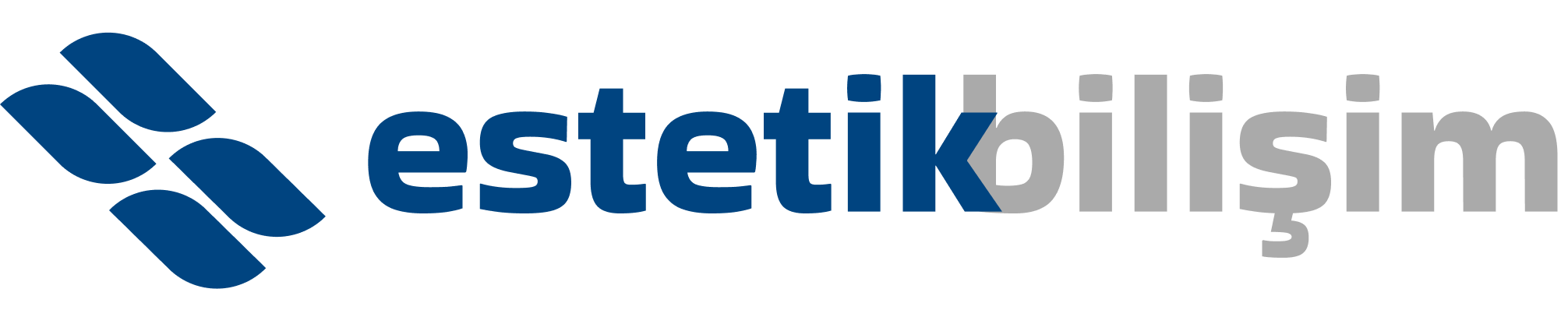 ESTETİK BİLİŞİM TEKNOLOJİLERİ